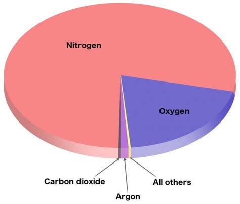 What Are the Dangers of a Gas Mixture Containing Oxygen, Nitrogen, and Carbon Dioxide?